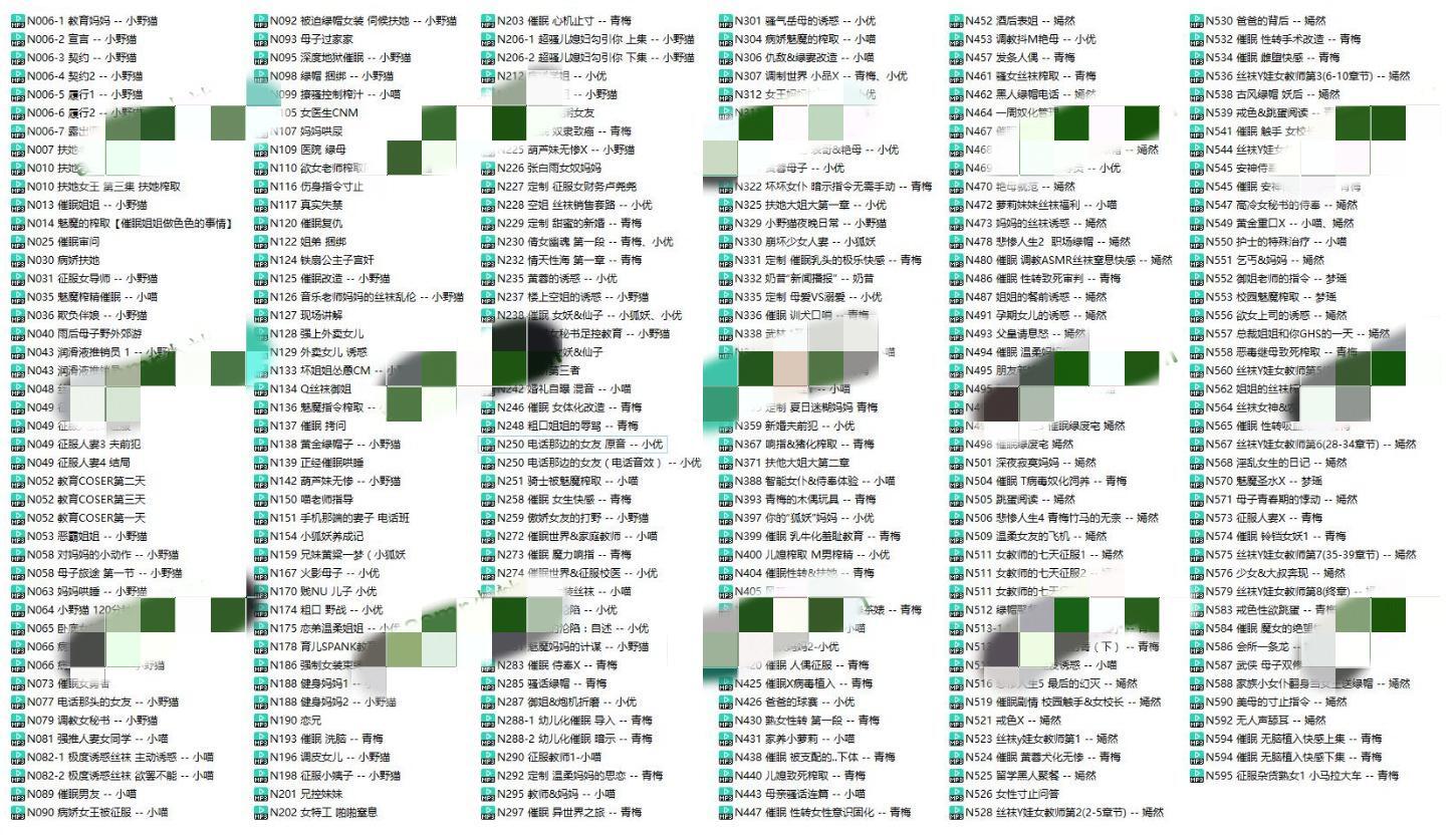 cv小野猫AS MR中文音声助眠音频
