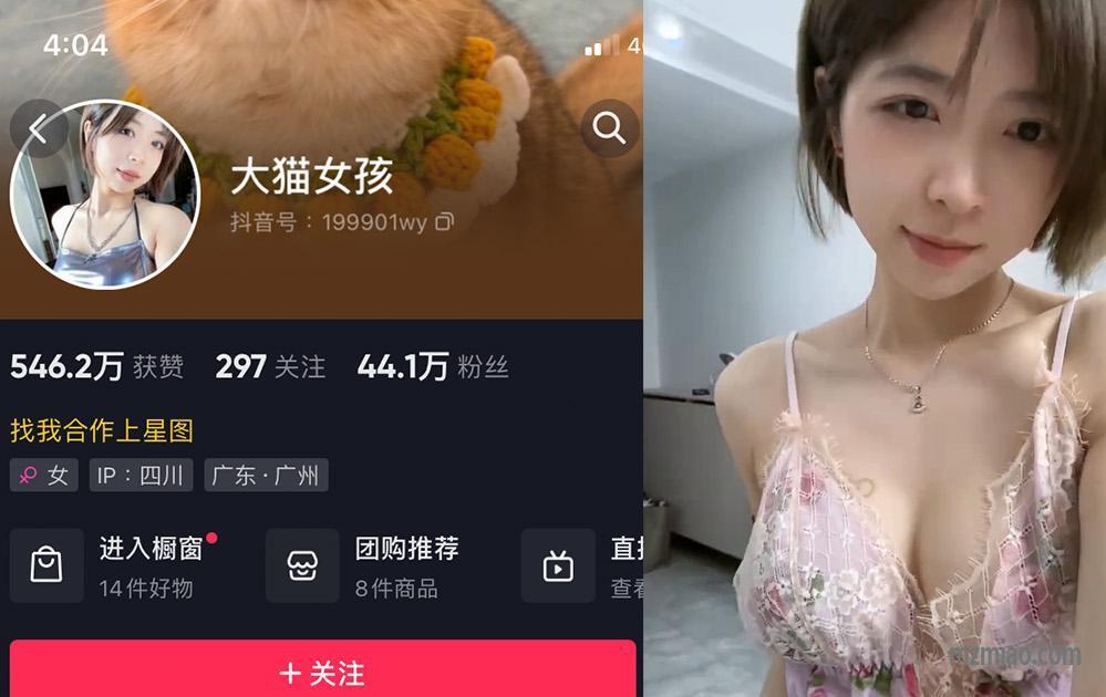 抖音大猫女孩微密照片视频，耳目一新的视觉体验