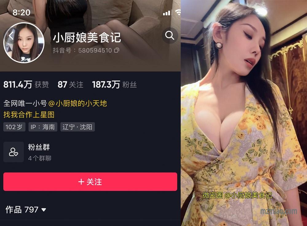 小厨娘美食记微密20部劲爆视频在哪里看
