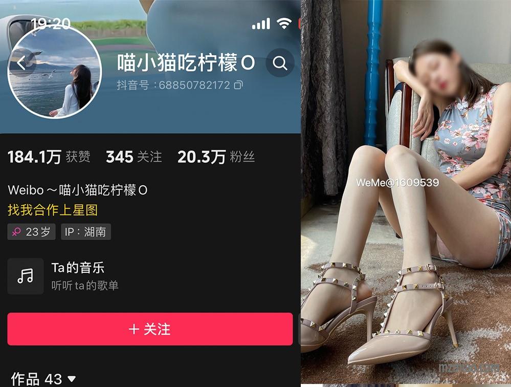 喵小猫吃柠檬微密摄影图片，如花朵和树叶般美好
